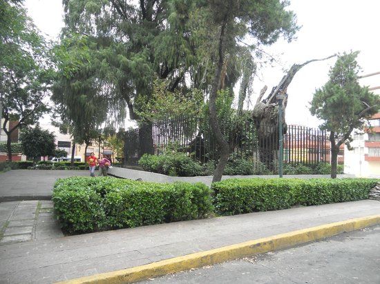 Museo Nacional de San Carlos